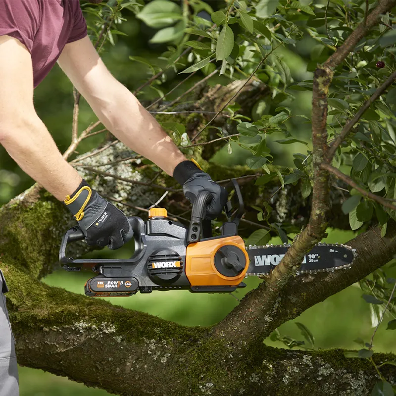 Пила цепная компактная WORX WG322E 20V 25см аккумуляторная — детальное фото