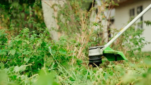 Триммер Greenworks GD60BCB 60V 2108407 (40 см) бесщеточный с велосипедной ручкой аккумуляторный — детальное фото