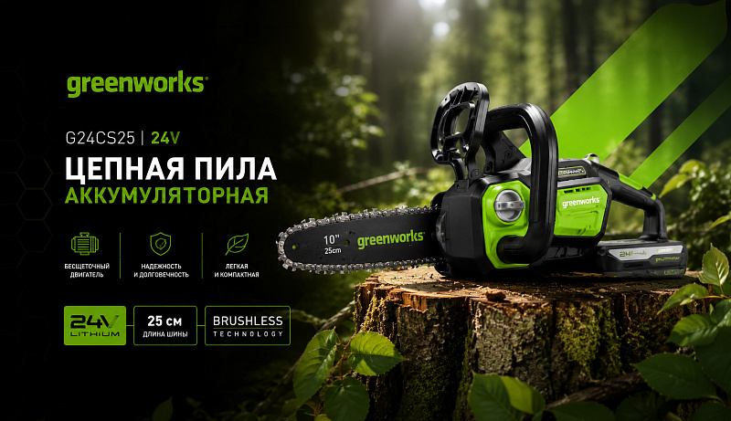 Цепная пила Greenworks G24CS25 24V 2007707 (25 см) аккумуляторная
